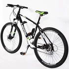 48 V 250W e bike mtb e bike electric pedal assisted bike