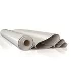 RG JIAYE factory price weather resistance 1.2mm transparent breathable waterproof tpo membrane for roofing