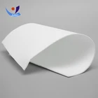 Industrial Use Anti-static Polyester Air Filter Cloth for Filter Fabric Felt