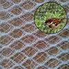 /product-detail/factory-customized-cheap-agriculture-anti-bird-netting-anti-hail-net-62108302167.html