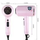Professional Powered Salon Hair Dryers Lightweight Low Noise Travel Hair Dryer