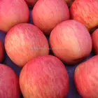 2019 fresh fruit apple Fuji apple exporters india royal gala apples