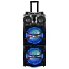Wooden Active Stage subwoofer&Portable speaker with Color lights &Blue tooth