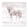 /product-detail/animal-oil-painting-art-print-living-room-home-decoration-horse-picture-for-art-picture-wall-hanging-3d-horse-painting-62091777872.html