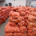 High Quality Big Round Red Onion In China