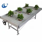 greenhouses china hydroponic ebb fodder system growing kit