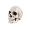 /product-detail/halloween-decoration-gift-human-skull-model-resin-molds-for-craft-62083582389.html