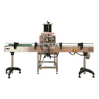 China Supplier Automatic Bottle Beer/Olive Oil Filling Machine