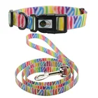 PVC Collar De Perro,Dog Training Collar,Durasoft Dog Collar Leash Set With Safety Plastic Buckle