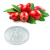 /product-detail/hongda-food-additive-ascorbic-acid-price-98-natural-vitamin-c-powder-rose-hip-extract-60801023541.html
