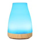 China shenzhen manufacturer classic personal 100ML aroma diffuser mini usb 12v ultrasonic humidifier