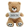 /product-detail/china-factory-soft-supply-stuffed-plush-custom-toy-for-kid-60801992887.html