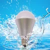 Dimmable IP67 Waterproof Dimming Without Flicker Dimmer 4500w Hennery LED Chicken Farm Light Bulb Led Poultry Light Bulb