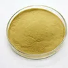 Green tea extract/green tea extract powder