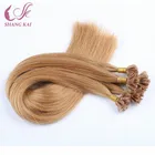 Hair Extension 100% Remy U Tip Keratin Human Hair Extension
