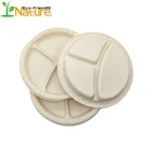 3 Comparts Custom Corn Starch Dinner Plate With FDA