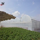 Cheap commercial film glass greenhouse