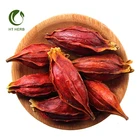 Hot Selling Herb Dried Gardenia Fruit Red Gardenia