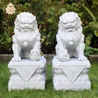 Hand carved stone sitting Chinese foo dog lion for doorway decor NTBM-L014Y