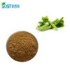 /product-detail/xi-an-sost-manufacturer-organic-powder-wholesale-celery-seed-extract-60093893385.html
