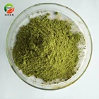 Hot quality Moringa Oleifera Leaf Powder with best price