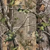 /product-detail/94-polyester-6-spandex-camo-realtree-camouflage-stretchable-camouflage-printing-softshell-fabric-62085907711.html