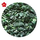 IQF Chopped Spinach with best price and quality