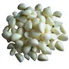 /product-detail/fresh-peeled-garlic-with-cheap-competitive-price-62115396191.html