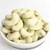 /product-detail/dried-cashew-nuts-cashewnuts-w320-62070799606.html