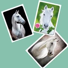 Fashionable 3D lenticular custom metal fridge magnet for decoration