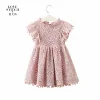 Spring and Summer Fly Sleeve Hollow Out Pink Princess Girls Children's Lace Dress