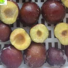 Provide Frozen Plum Export Standard Delicious Yokid Frozen Plum