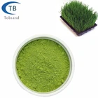 Water Soluble Organic Wheat Grass Powder/Wheat Grass Juice Powder