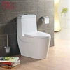 /product-detail/foshan-guci-bathroom-design-ceramic-one-piece-toilet-wc-bidets-intelligent-toilets-1465955005.html