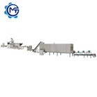 video technical support fryer for snack/automatic frying line