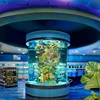 20-500mm Thickness and Custom Size Size cylindrical big fish tank