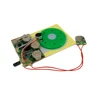 Custom voice activated sound chip/voice activated sound module
