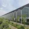 /product-detail/high-quality-fully-automated-venlo-greenhouse-from-china-62086843991.html