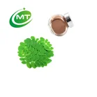 Moringa Leaf Powder Leafpowder Moringa Powder GMP Factory Supply Moringa Leaf Powder