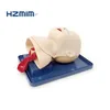 /product-detail/human-intubation-manikin-airway-intubation-simulator-for-training-neonatal-intubation-manikin-62100454388.html