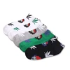 Summer new fashion maple leaf men's cotton breathable green invisible socks