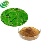 Pure natural Moringa oleifera Leaf Extract Powder