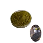 Fucoxanthin Algae Carotenoid Medicinal and Nutritional Ingredient
