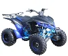 /product-detail/exclusive-design-cool-manual-disc-brake-racing-sports-atv-250cc-for-adult-60614101628.html