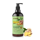Shampoo Shampoo Organic Customized Italian Organic Ginger Refreshing Shampoo Anti Hair Loss For Hotel