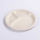Paper Plate Biodegradable Plate Biodegradable Disposable Bagasse Paper Pulp Food Plate
