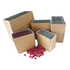 folding foam box insulated shipping box for frozen food packing box