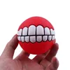 Latex Squeaky Dog Toy Smiley Face Balls Interactive Fetch Play for Medium Dogs Funny Animal Sets