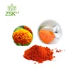 100% Natural Marigold Extract Pigment Powder Lutein