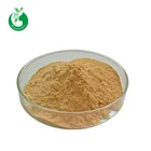 Factory Bulk Sale Pure Green Coffee Bean Extract